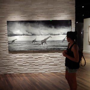 I'm a Posh Ambassador!